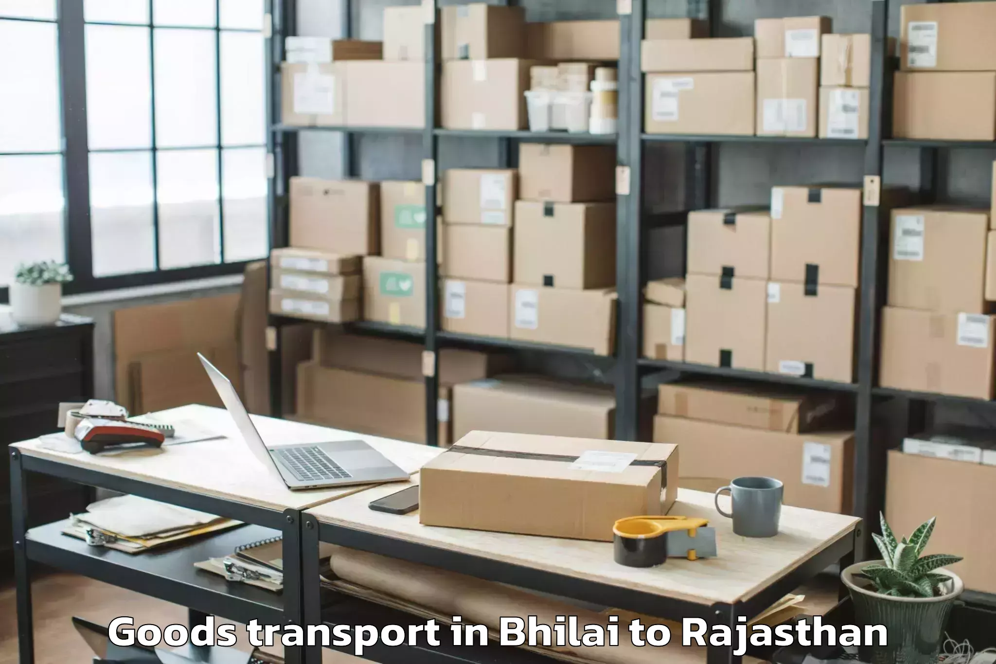 Efficient Bhilai to Haridev Joshi University Of Jo Goods Transport